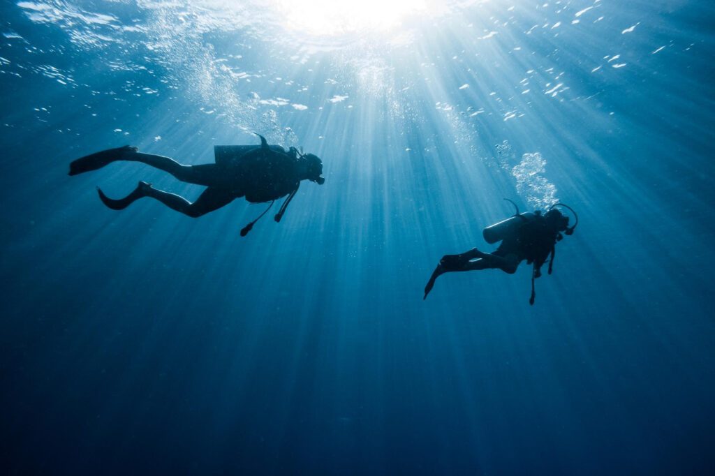 Deux plongeurs sous l'eau